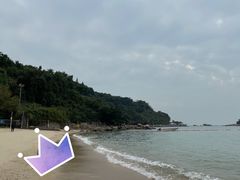 -杨梅坑
