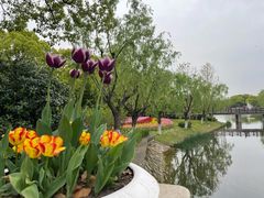 -上海鲜花港
