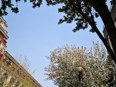 -天津五大道文化旅游区