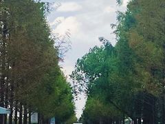 -嘉北郊野公园