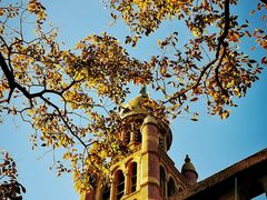 -上海佘山国家森林公园西佘山园