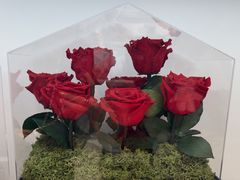 -ROSEONLY诺誓(广州K11店)