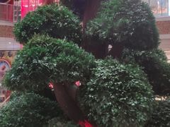 -松雷商业(南岗店)