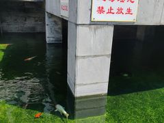 -长春观