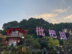 -枇杷园食为鲜火锅(南山店)