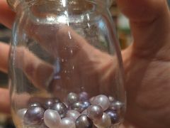 -十八字金·银饰·开蚌DIY·手工体验团建(魏公芳华里店)