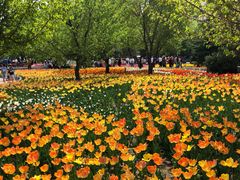 -长春公园(普阳街道)