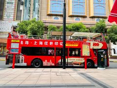 -BUS TOUR观光巴士