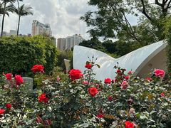 -人民公园(罗湖区)