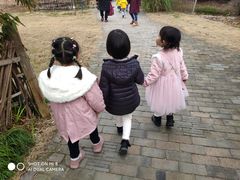 -田园东方蜜桃村的田野营地