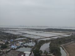 -广州莲花山旅游区