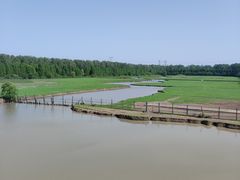 -溱湖国家湿地公园