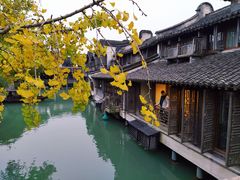 -乌镇西栅景区