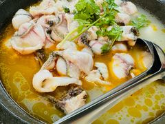 -大鼎石锅鱼(春江里店)