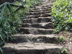 -梧桐山风景名胜区