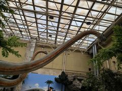 -国家自然博物馆