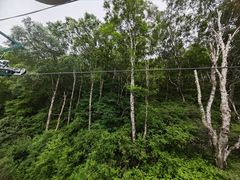 -驼梁风景区