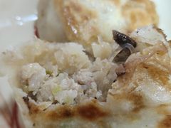 -求生煎包(武夷小区店)
