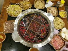 -大龙火锅(老店)
