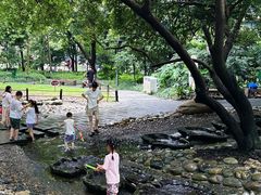 -成都市活水公园