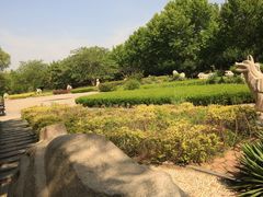 -诸城市恐龙博物馆