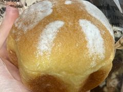 布里欧修-Juicy Bakery(大学路店)