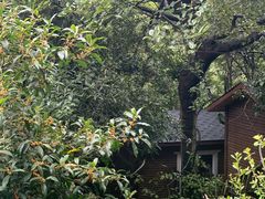-杭州少年儿童公园