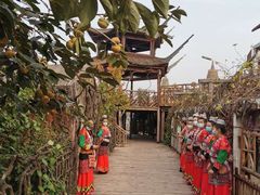 -呀路古热带植物园