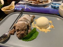 -赫帝拉航空主题餐厅(南宁店)