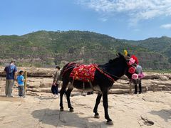 -陕西黄河壶口瀑布旅游区