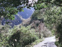 -太鲁阁公园