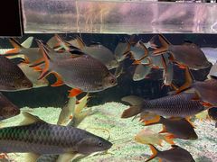 -太平洋海底世界