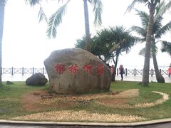 -万绿园