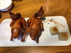 红烧鸽-大鸽饭(岗顶店)