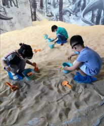 -恐龙探索乐园(磁器口店)