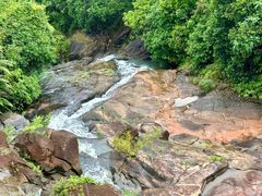 -广州白江湖森林公园