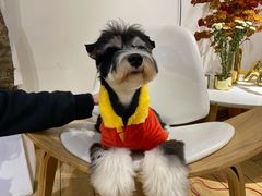 -Double Rui宠物酒店