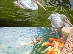 -杭州野生动物世界
