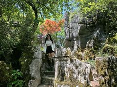 -山王坪喀斯特国家生态公园