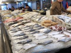 -中国舟山国际水产城