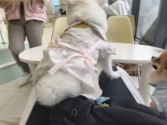 -怪兽屋·羊驼·猫咖·狗咖(俊华广场店)
