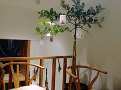 -Oasis coffee燕谷咖啡(公信店)