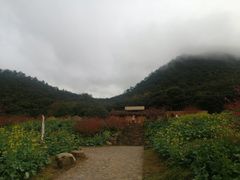 -广州市石门国家森林公园