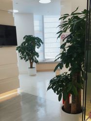 -SKINIST丽铂医疗美容