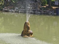 -西苑公园