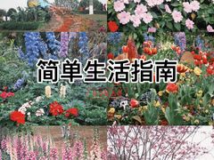 -东莞植物园