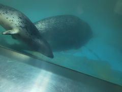 -石家庄海洋公园