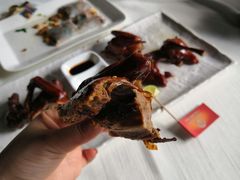 -侨美·唐荔园·40年地道粤菜