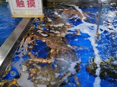 -七鲜超市(万向城店)