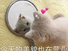 -邵子牙·中华老字号(定安路店)